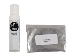 Kit de réparation de peinture argent