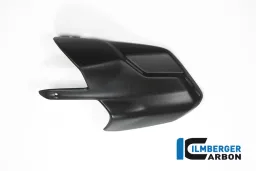 Protecteur d'échappement Ducati MTS'15