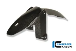 Garde-boue avant Carbone - BMW F 800 R (2009-2014) / GT (2012-maintenant)