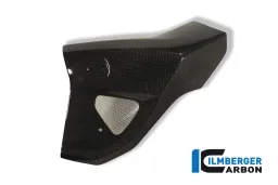 Cache de radiateur gauche Carbon - BMW F 800 R (2009-2011)