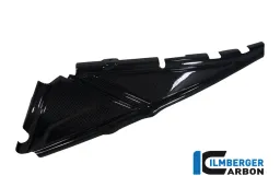 Couvercle de cadre arrière gauche carbone - BMW R 1200 GS (LC à partir de 2013)