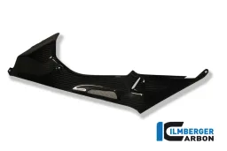 Panneau latéral de réservoir (à gauche) Carbone - BMW S 1000 RR Stocksport / Racing (2010-2014)