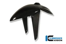 Garde-boue avant Carbone - BMW K 1200 R (2005-2008) / K 1300 R (2008-maintenant)