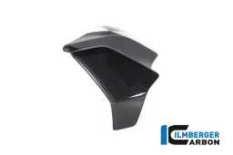 Cache radiateur gauche brillant Diavel 1260