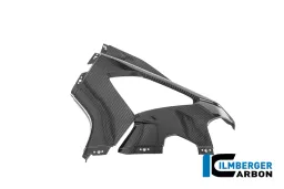 Verkleidungsseitenteil liens Racing BMW M 1000 RR 2025