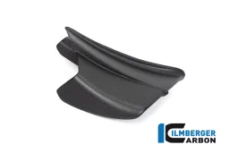 Winglet droit Panigale V4 R mat