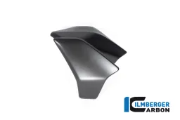 Cache radiateur gauche mat Diavel 1260