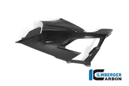 Carénage Side Panel Racing gauche BMW S 1000 RR à partir de MY 2019
