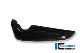 Cache de radiateur (droite) Carbon - Harley Davidson V-Rod