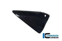 Cache-cadre triangulaire gauche carbone - BMW R 1200 GS (LC) à partir de 2013 / R 1200 R (LC) à partir de 2015 / R 1200