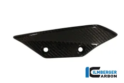 Aile latérale de carénage (gauche) Carbone - BMW S 1000 RR StraÃŸe (2012-2014) / HP 4