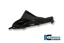 Porte-badge supérieur de panneau latéral de carénage (gauche) Carbone - BMW S 1000 RR StraÃŸe (2010-2014) / HP 4