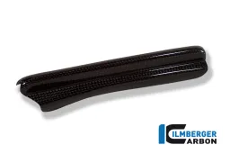 Cache de durite de frein Carbone - BMW R 1200 GS