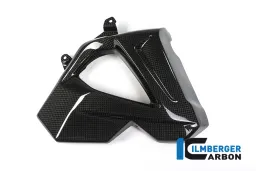Cache de radiateur (côté droit) - BMW F 800 R (à partir de 2015)