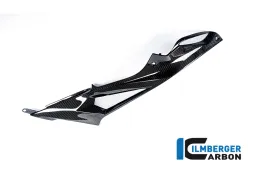Panneau latéral de réservoir carbone - BMW S 1000 R / S 1000 RR (à partir de 2015)