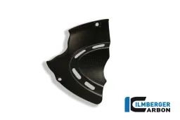 Couvercle de pignon avant carbone - Ducati Diavel