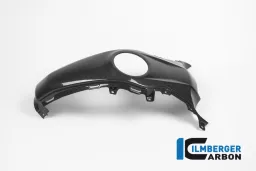 Panneau de centre de réservoir carbone - BMW R 1200 R (LC) à partir de 2015 / BMW R 1200 RS (LC) à partir de 2015