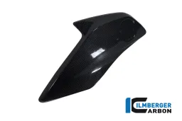 Cache de radiateur (gauche) Carbone - BMW R 1200 GS (LC à partir de 2013)