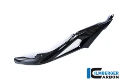 Panneau latéral de réservoir côté carbone - BMW S 1000 R (2014-maintenant) / S 1000 RR Street (à partir de 2015)