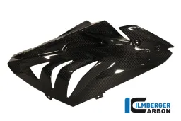Panneau latéral de course de carénage (à droite) Carbone - BMW S 1000 RR Stocksport / Racing (2012-2014)