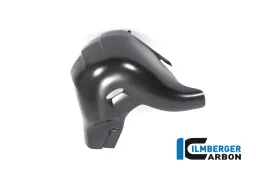 Protection pot d'échappement mat Streetfighter/Panigale V4 (S) à partir de 2022 Euro V
