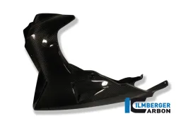 Bellypan Carbon - BMW K 1200 R (2005-2008) / K 1200 R Sport (2007-2011) / K 1300 R (2008-maintenant)