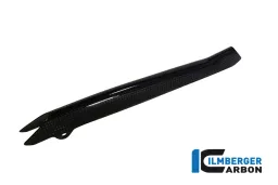 Cache-tuyau de frein carbone - BMW R 1200 GS (LC) à partir de 2013 / R 1200 R (LC) à partir de 2015 / R 1200 RS (LC) en