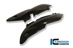 Couvercle de phare arrière en carbone - BMW R 1200 R (2011-2014)