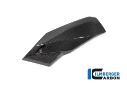 Sabot 2021 côté gauche BMW S 1000 R 2021
