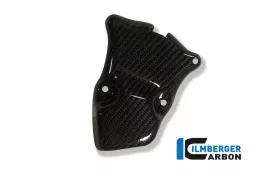 Cache Rotor d&#39;Allumage Carbone - BMW S 1000 R (2014-2020) / S 1000 RR (2010-2018) / HP 4 (2012-2019)