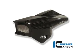 Airtube left Carbon - BMW K 1300 R (2008-maintenant)