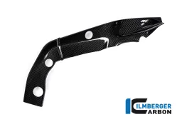 Framecover droite Carbone - BMW S 1000 R