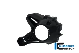 Protecteur de carter d'entraînement carbone - BMW R 1200 GS (LC à partir de 2013) / R 1200 R (LC) à partir de 2015 / R 12