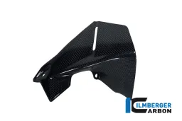 Pare-brise sur le cockpit gauche Carbon - BMW R 1200 GS (LC à partir de 2013)