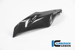 Type de côté gauche Carbone - BMW R 1200 R (LC) à partir de 2015 / BMW R 1200 RS (LC) à partir de 2015