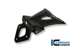 Support de plaque d'immatriculation carbone - BMW S 1000 R (2014-maintenant) / S 1000 RR Street (2010-maintenant) / HP 4 (2012-maintenant)
