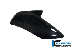 Cache de radiateur (droit) Carbone - BMW R 1200 GS (LC à partir de 2013)
