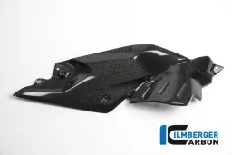 Panneau latéral sous le réservoir à droite Carbone - BMW R 1200 R (LC) à partir de 2015