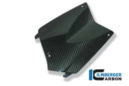 Cache batterie carbone - BMW K 1200 R (2005-2008) / K 1200 R Sport (2007-2011) / K 1300 R (2008-maintenant)