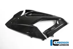 Panneau latéral de carénage (à gauche) - BMW S 1000 RR (à partir de 2015)