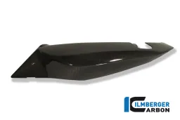 Panneau latéral sous le siège gauche Carbone - BMW F 800 R (2009-2014) / S (2006-maintenant) / ST (2006-maintenant) / GT