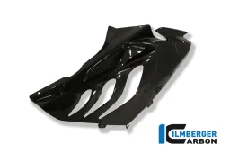Panneau latéral de course de carénage (à droite) Carbone - BMW S 1000 RR Stocksport / Racing Parts