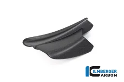Winglet gauche Panigale V4 R mat