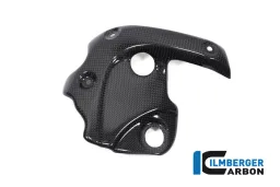 Protection d&#39;échappement sur le collecteur gloss Diavel 1260