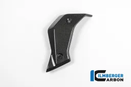 Couvercle de refroidisseur d'eau à gauche - Carbone - BMW R 1200 R (LC) à partir de 2015