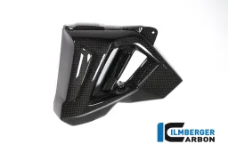 Cache de radiateur (côté gauche) - BMW F 800 R (à partir de 2015)