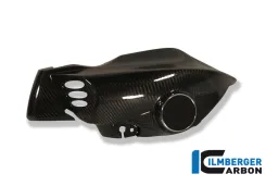 Tube à air gauche Carbone - BMW K 1200 R (2005-2008)