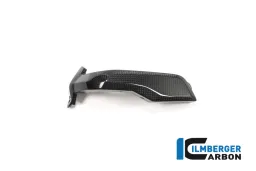 Cache de bougie d'allumage gauche Carbone - BMW R 1200 GS (LC) de 2013 à 2015
