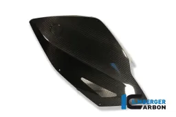 Panneau latéral de carénage gauche Carbone - BMW K 1300 S