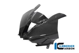 Carénage avant (une pièce) Carbone - BMW M 1000 RR Racing (à partir de 2021)
